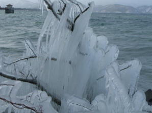 氷点下しぶき氷