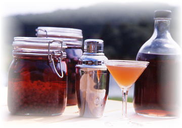 ブルーベリー果実酒