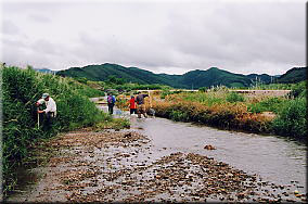 舟津川ガサガサ探検