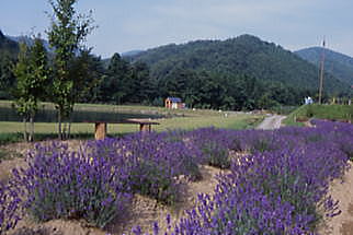 アトリエロード