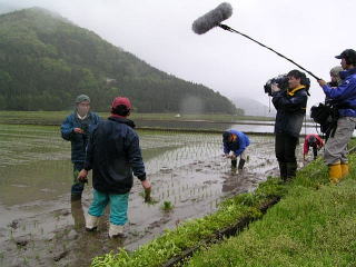 田植えだよ!